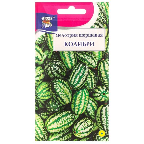 ������ ������ ������ �������� �������� 