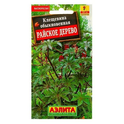 ������ ������ ������ ������ ��������� 