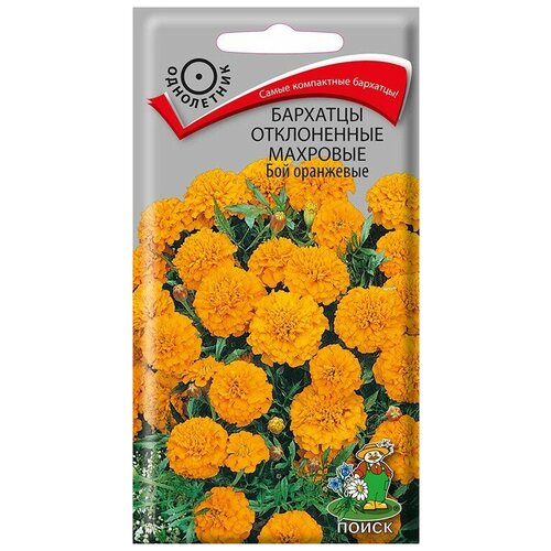 ������ ������ �������� ����������� �������� ��� ��������� ( ��) ( ����