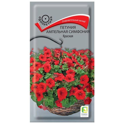 ������ ������ ������� ��������� �������� ������� ����