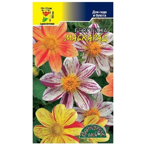 ������ ������ ������ �������� ��� 