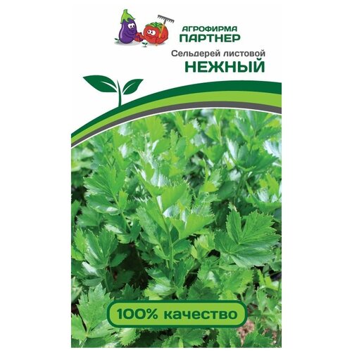 ������ ������ ������� ��������� 