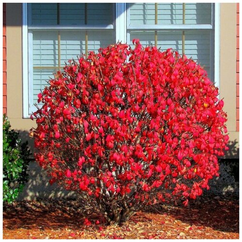 ������ ������ ������ ������ ��������� ����������� 10 ��. ����