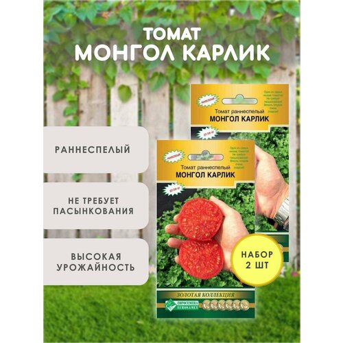 ������ ������ ������ ������� ������ ������, ������ ������� ����������� ������, ����� 2 ��. ����