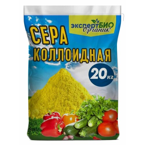 ������ ������ ���� ���������� ��� �������� �� ���������� ��������� ��� �������� ������� � ���� ����