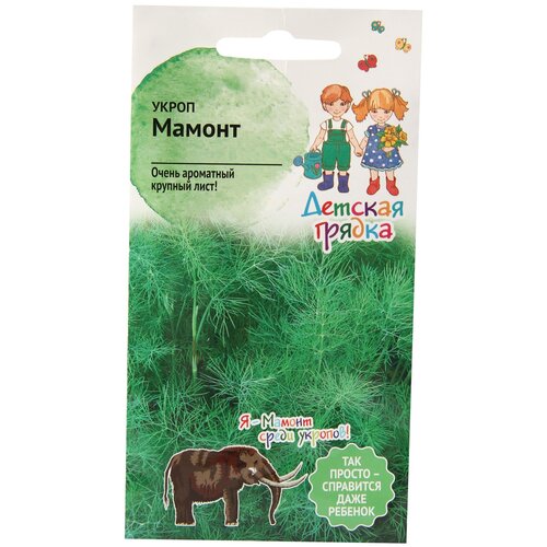 ������ ������ ������ ����� ������ 3 � ����