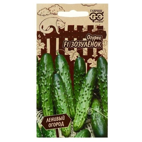 ������ ������ ������ ������ ������� ������ ������ ��������� F1 10 ��. ����