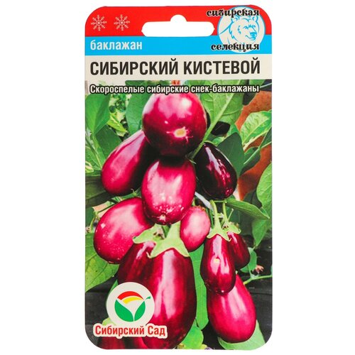 ������ ������ ������ �������� 