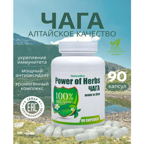 ������ ������ ���� � �������� ����