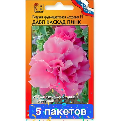 ������ ������ ����� ������� ���� ������ ���� F1 �������� 5 ������� ����