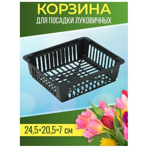 ������ ������ ������� ��� ���������� ���������� (������) ����