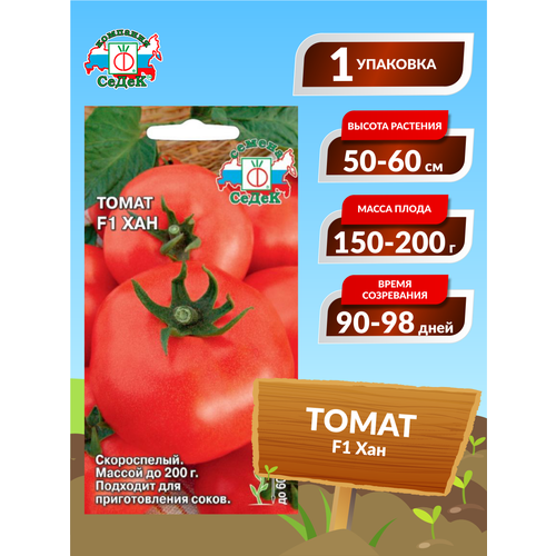 ������ ������ ����� F1 ��� ����