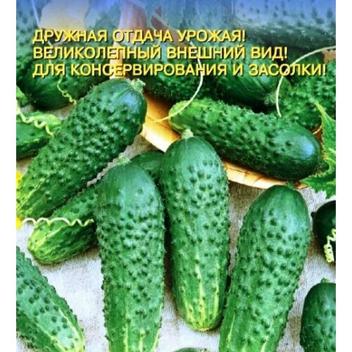 ������ ������ ������������� ������ ������ �������� F1 ����