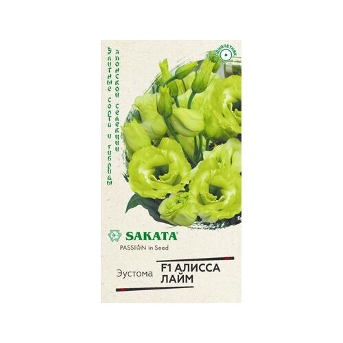 ������ ������ ������. ������� ��������������� 