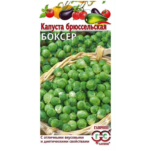 ������ ������ ������ ������ ������� ������������ ������ 0,2 �, 10 ��. ����