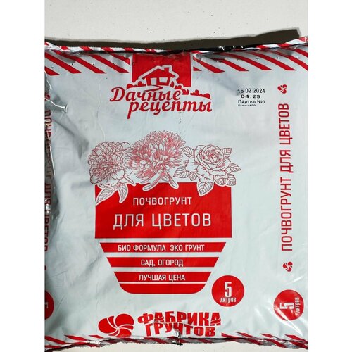 ������ ������ ����� ��� ������ 