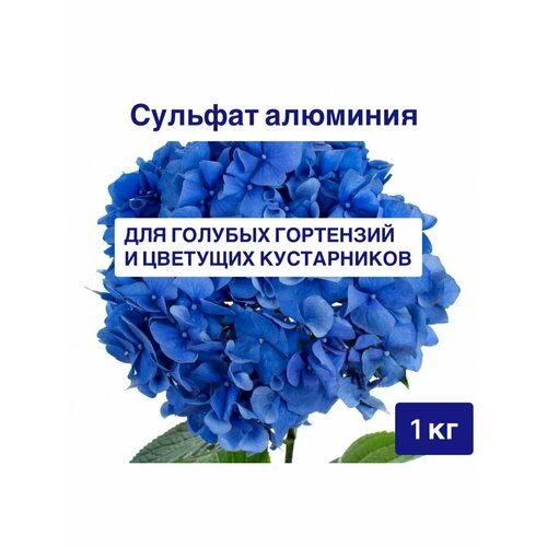 ������ ������ ������� �������� ��� ��������� 1 �� ���� ����