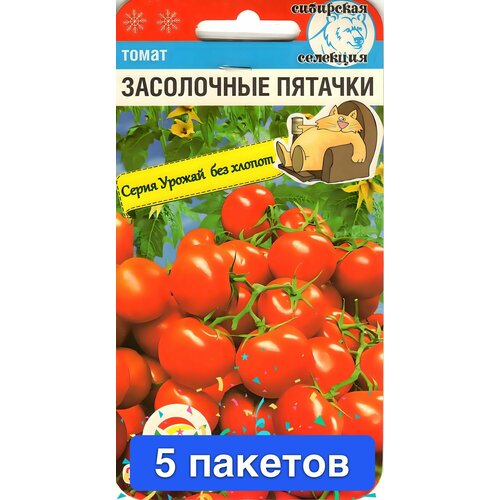 ������ ������ ������ ������ ��������� ��� 