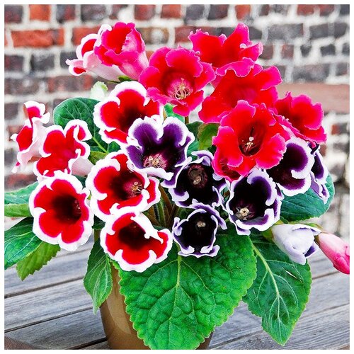 ������ ������ ������ ��������� ��������� ���������� ���� ������� � �����, 8 �� ����