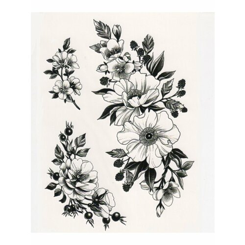 ������ ������ ��������� ���� ������, ���������� ����������, �����, ����, ���������, ����, �����, ���������� ����