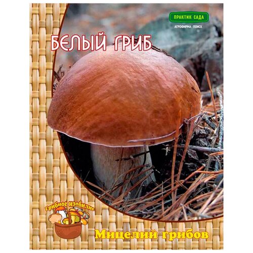 ������ ������ ����� ���� (������� �� ��������), �� ����