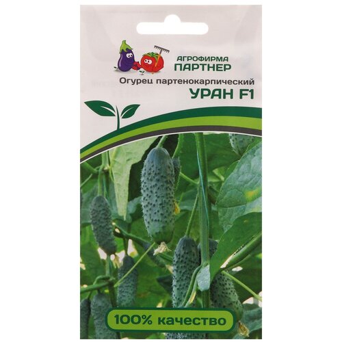 ������ ������ ������ ������ 