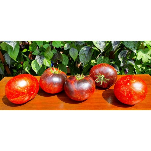 ������ ������ ������ ������ ������ ��������� (Dark Galaxy) / Seeds And Goods / � �������� zip-lock ��� ���������� 15 ����� ����