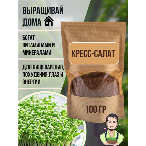 ������ ������ �����-�����. �����-����� �����������. ������ ��� ������������ ����