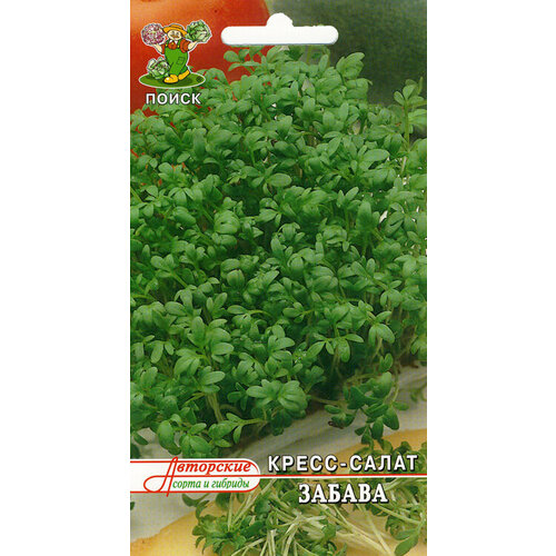 ������ ������ �����-����� ������ 1��. (���. �����) (�����) ����