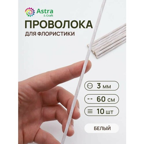 ������ ������ ��������� �������������� ����� 3 ��*60 ��, 10 ��, � �������� �������, Astra&Craft ����
