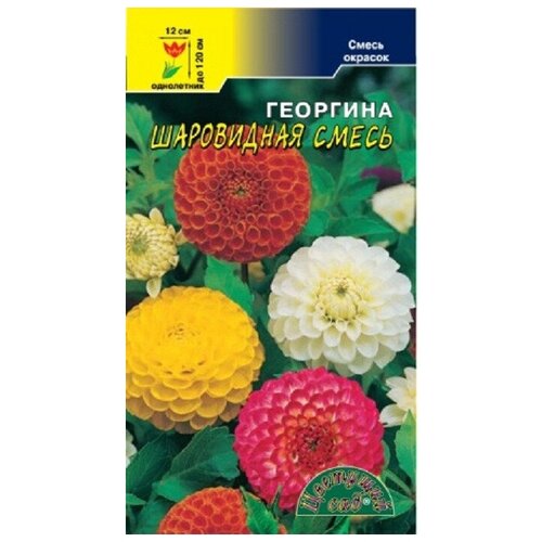 ������ ������ ������ �������� ��� 