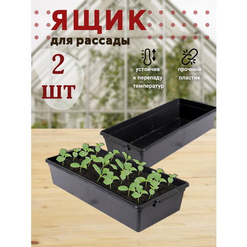 ������ ������ ���� ��� ������� ���-�-��� 43�20�10��, 2 ����� ����