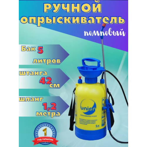 ������ ������ ������������� ������� �������� 5 ���� ��� ������ � �������� ����