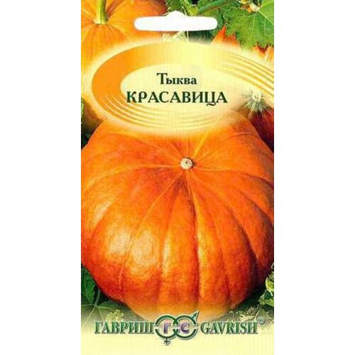 ������ ������ ������ ����� ��������� ��������� 1� (������) ����