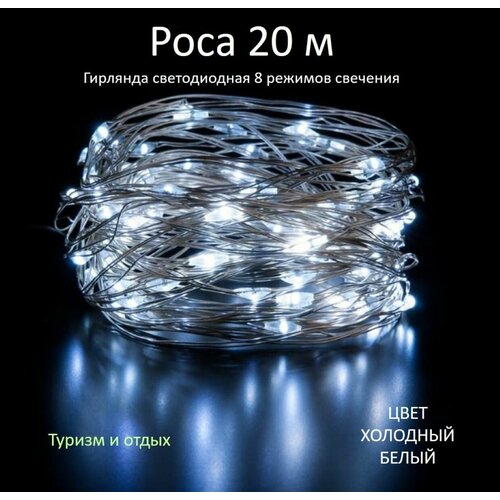 ������ ������ �������� ���� 20 �, ����� ����