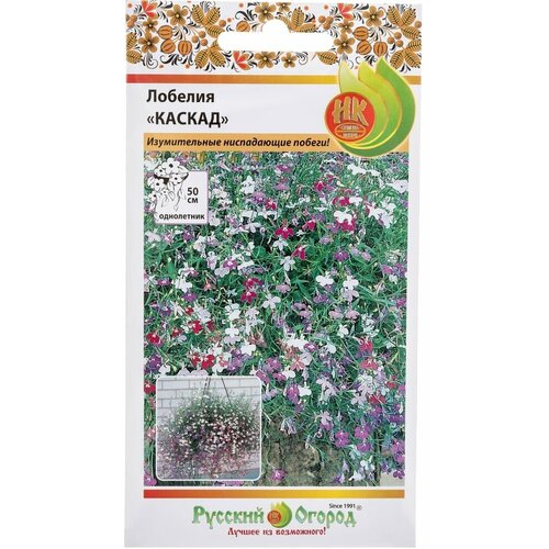 ������ ������ ������. �����. ������� 