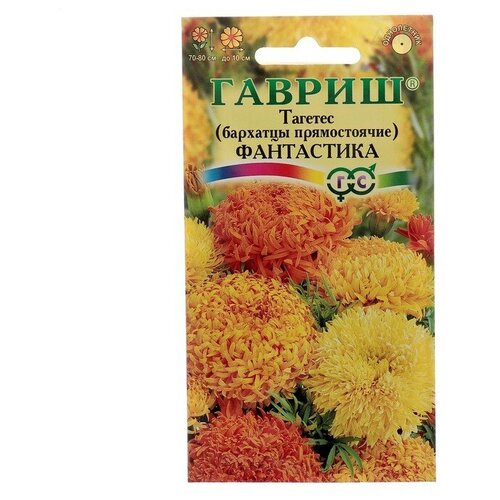 ������ ������ �������� ������������ 