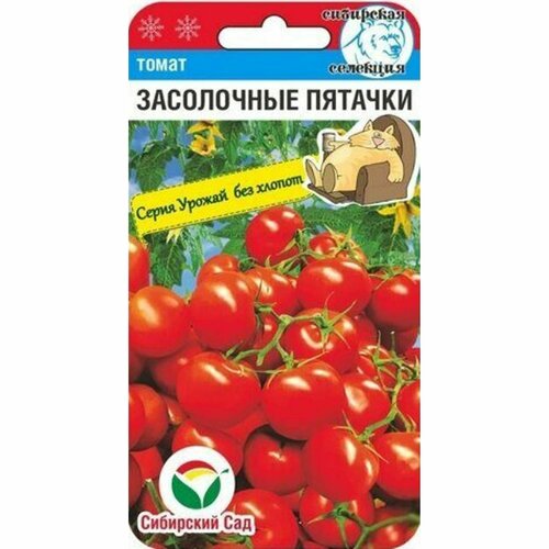 ������ ������ ������ ����� ���������� ������� (�����������) ��. (��������� ���) 20�� ����