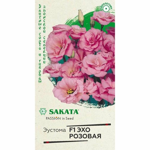 ������ ������ ������ ������� ��� F1, �������, ����������, (������) 5�� ����