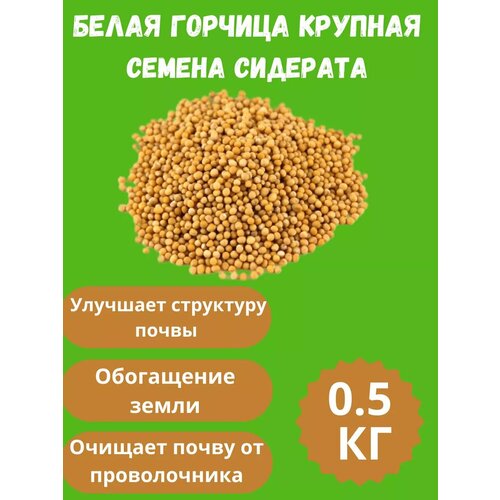 ������ ������ ������ ������� ������� 0,5 �� ����