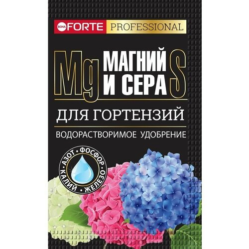 ������ ������ ��������� ��� ��������� � �������������� �������� � ����� � ������� 100� Bona Forte ����