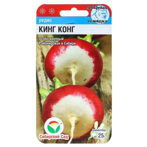 ������ ������ ������ ����� ����-����, 2 � ����