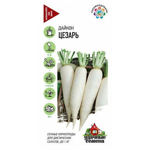 ������ ������ ������. ������ 