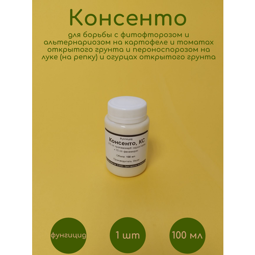 ������ ������ �������� �������� 100 �� �� �������� �������� ����