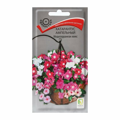 ������ ������ 24 ��. ������ ������ ���������� ��������� 