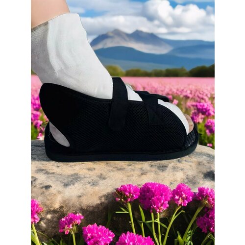 ������ ������ ����� ��� ����� ������ � ����