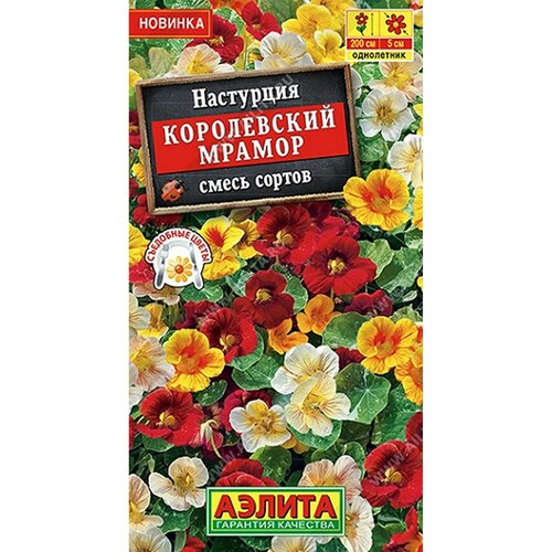 ������ ������ ������ ��������� ����������� ������, ����� ������, ����������, (������) 1� ����