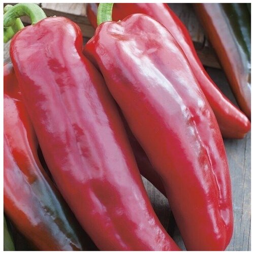 ������ ������ ������ ������ ����� ������� ����� 10 ��. ����