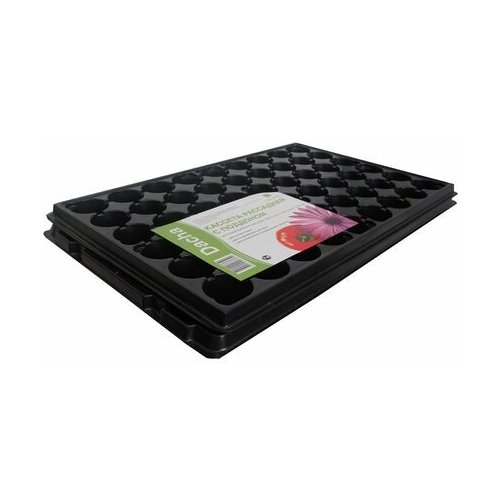 ������ ������ ������� ��� ������� 28 ����� � �������� ����