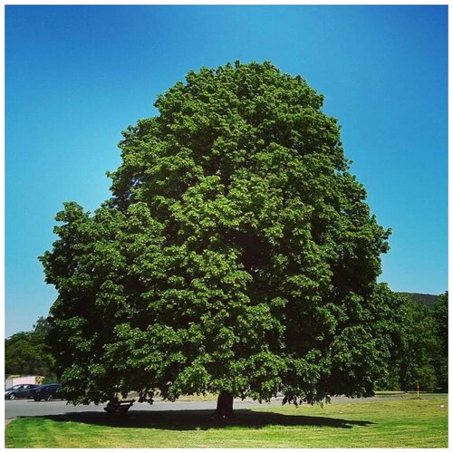 ������ ������ ������ ������ ���� ������������� 20 ��. ����